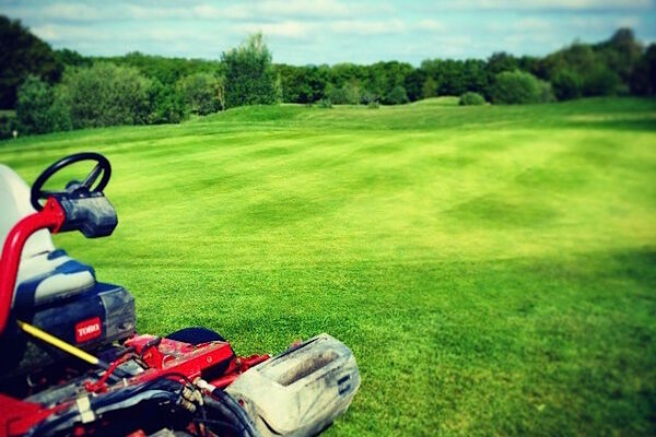 #caption-135 Cutting the greens