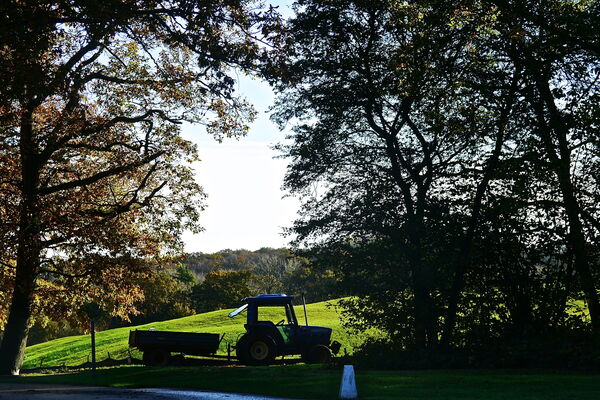 #caption-143 Autumnal