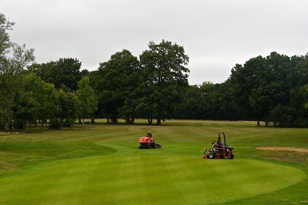 #caption-177 Cutting the greens