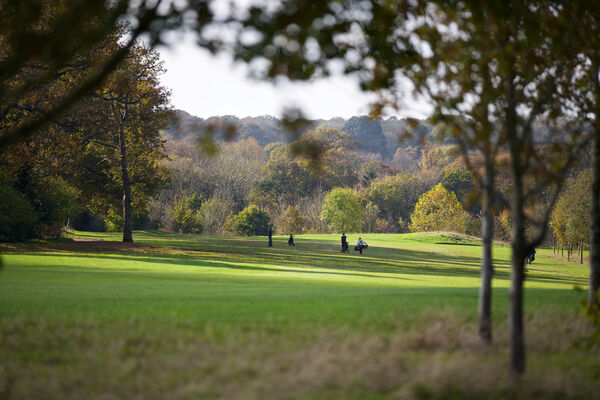 #caption-35 Autumnal course